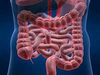 Gut Repair